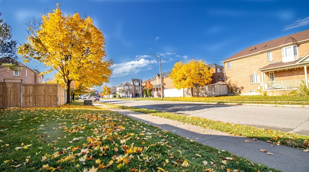 Residential street in Brampton